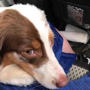 Meet your Posher, Jesse